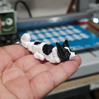 Papillon biało-czarny - brelok do kluczy